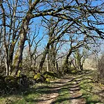 La Parenthèse Enchanté, à La Campagne