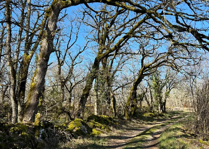 La Parenthese Enchante, A La Campagne